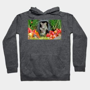 two wild garden house mice in a log home Hoodie